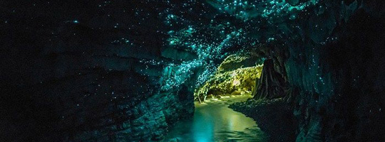 Waitomo_Glowworm_Caves_tour